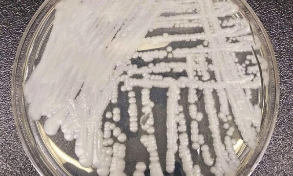 3eab4133ba1d6711c1a9bdf9f7d67196_1657970506_4712.jpg